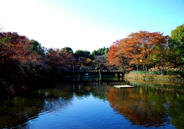 鹿沼公園